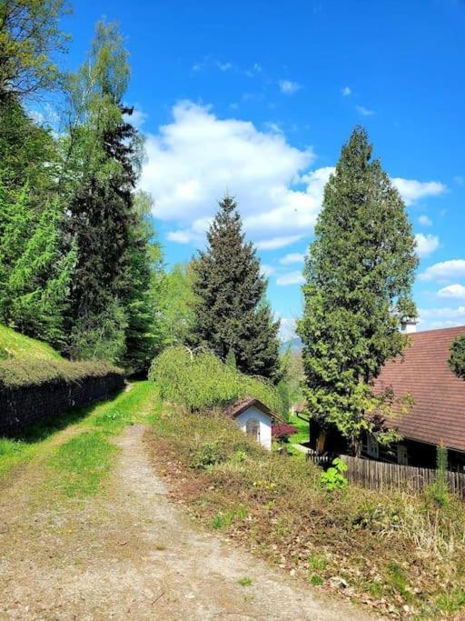Roubenka U Kaplicky Villa Liberec Exterior foto